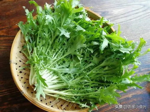 夏日養生必備 5種苦味食物清熱涼血，輕松度夏