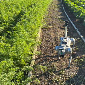 神農(nóng)衛(wèi)田機(jī)器狗助力雁棲鎮(zhèn)農(nóng)業(yè)病蟲害防治