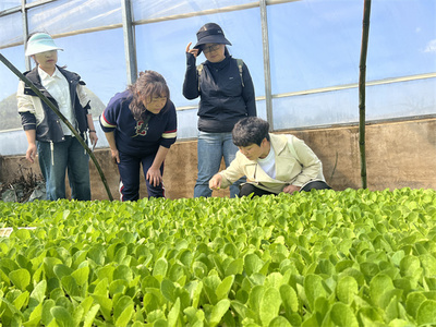 省級科技特派員下沉平壩，春季科技服務助力農業病蟲害精準防治