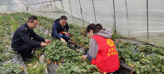 太姥山鎮 春耕春管正當時，農技服務到田間——聚焦農業病蟲害防治活動