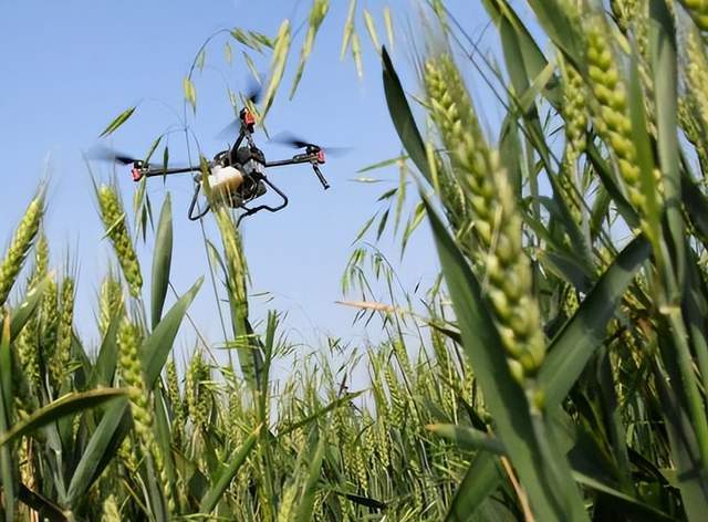 科技賦能保糧安 寶豐縣供銷社利農公司積極參與小麥病蟲害飛防會戰