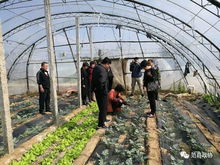 科技惠農(nóng)助振興 縣政協(xié)深入開展送科技下鄉(xiāng)及農(nóng)業(yè)病蟲害防治專項(xiàng)活動