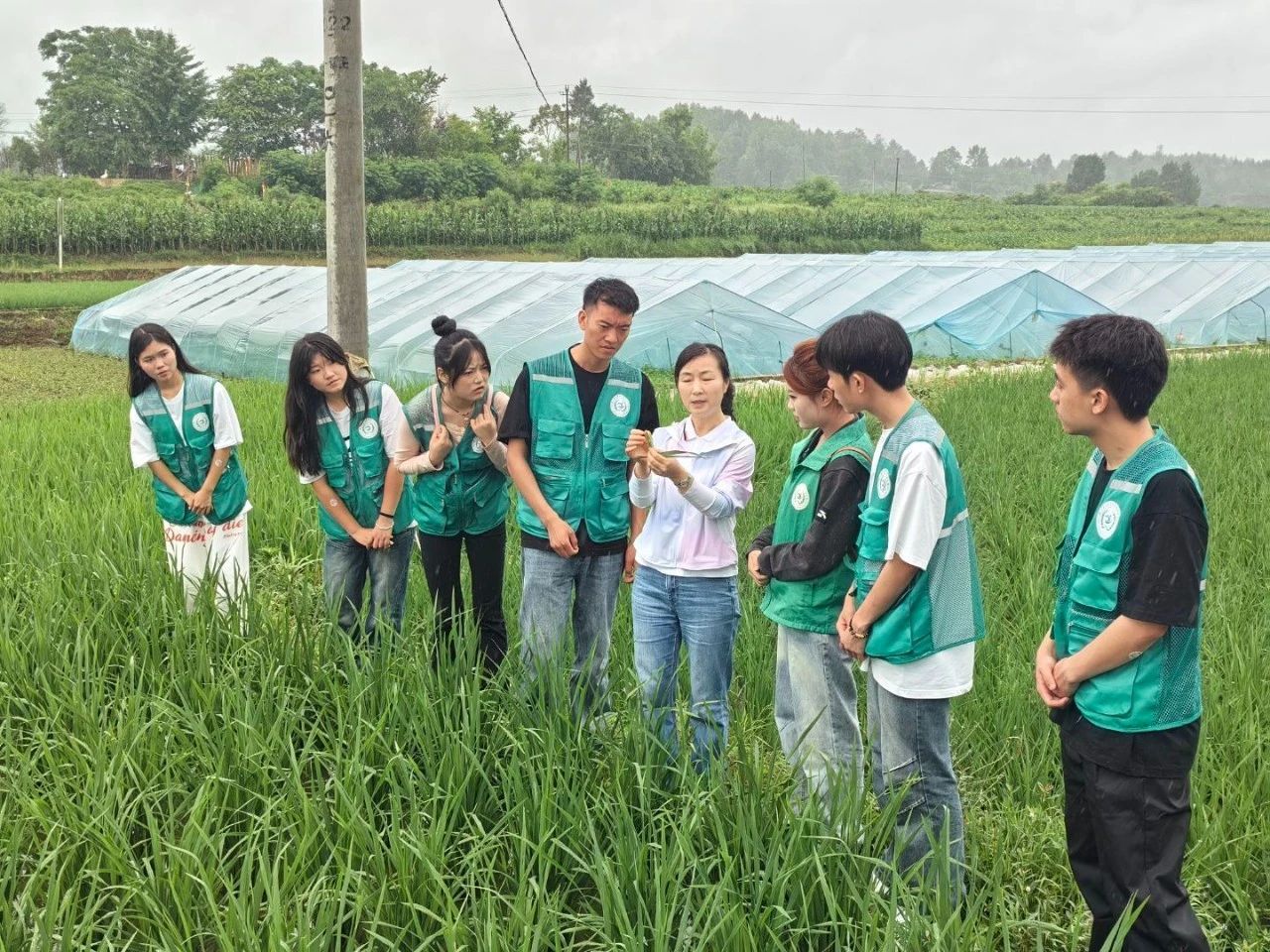 踐行實(shí)踐育人 貢獻(xiàn)青春力量——學(xué)院暑期“三下鄉(xiāng)”社會實(shí)踐活動側(cè)記（五）農(nóng)業(yè)病蟲害防治活動紀(jì)實(shí)