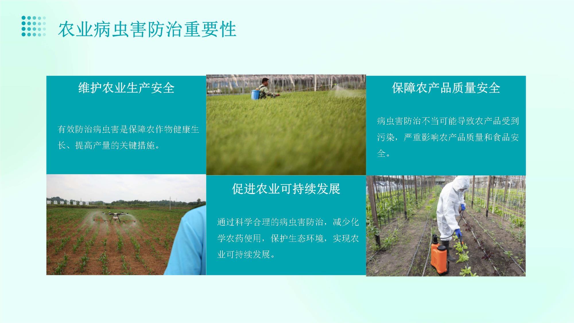 聚焦綠色防控 現(xiàn)代農(nóng)業(yè)病蟲害防治技術(shù)培訓(xùn)與實(shí)踐