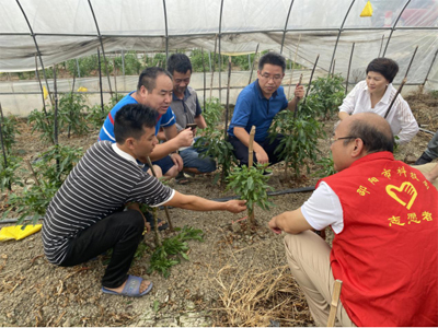 科技下鄉(xiāng)潤沃土，精準(zhǔn)防治助振興——市科技局農(nóng)業(yè)病蟲害防治活動紀(jì)實(shí)