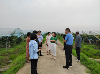 科技賦能，綠色防控——現(xiàn)代農(nóng)業(yè)病蟲害防治新實(shí)踐