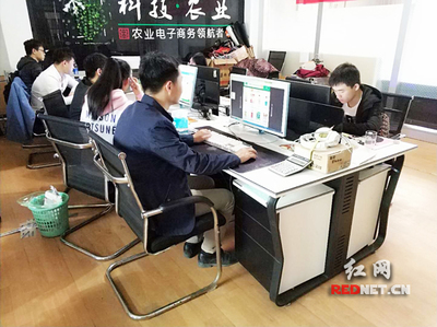 輸血變造血 衡陽市雁峰區(qū)以計算機(jī)技術(shù)培訓(xùn)為抓手，走深走實產(chǎn)業(yè)扶貧路